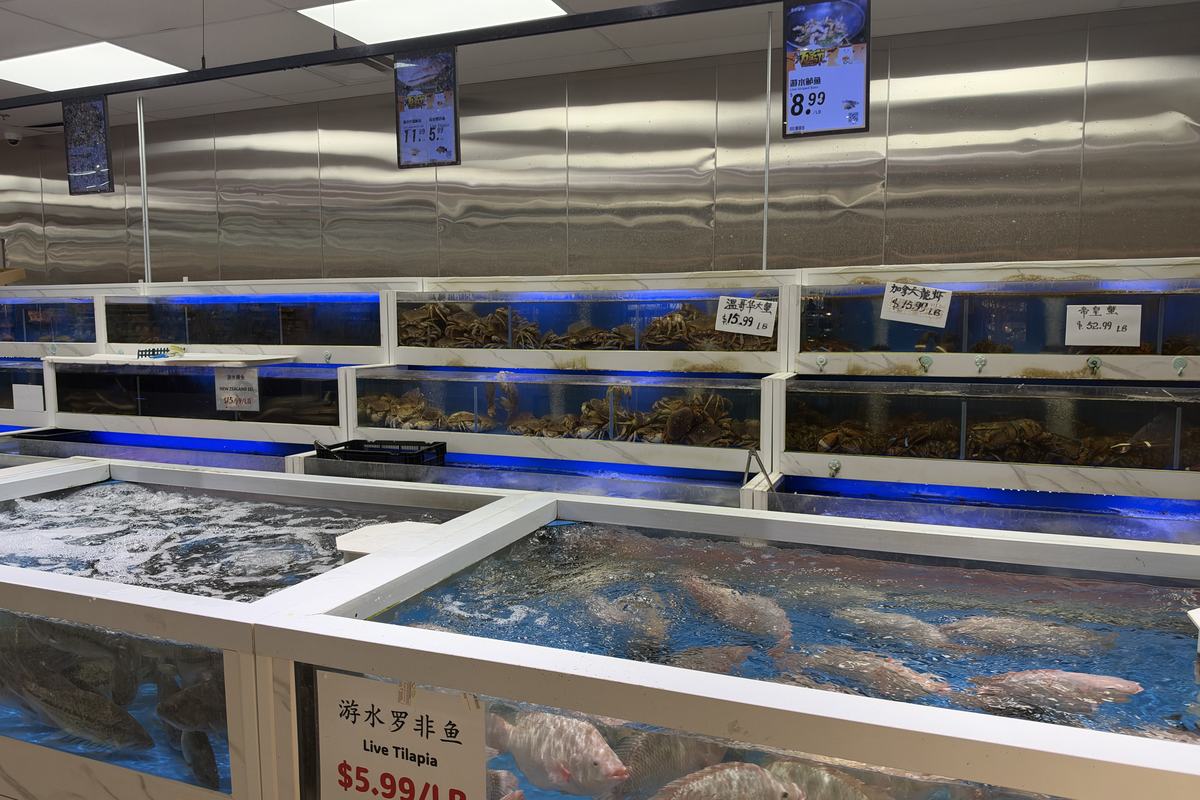 Seafood department